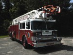 ladder-3---2.jpg