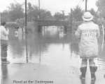 Flood 01.jpg