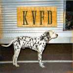 KFD Dalmation.jpg