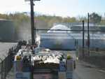 Fall 2008 032.jpg
