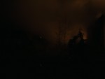 Picture 040.jpg