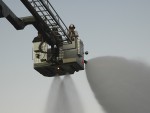 e1bronto620-5