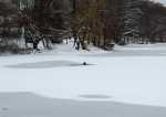 cold-water-022308-2.jpg