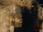 DSCF0026