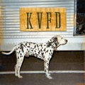 KFD Dalmation