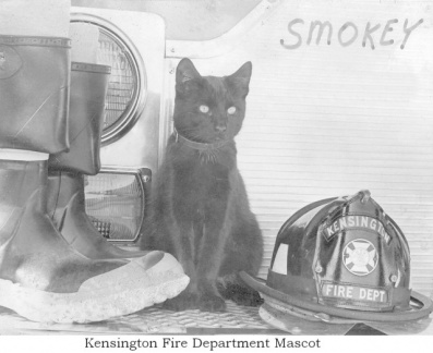 KFD Smokey