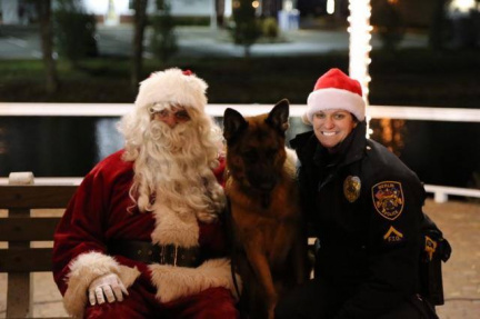 15181467 1264492370238256 9205874975028249560 n