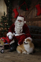 15235415 1264492246904935 7114704126765370521 o