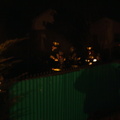 Picture 014