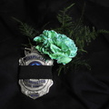 mourning-badge-w-carnation-