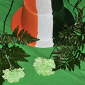 Irish-night-16-5